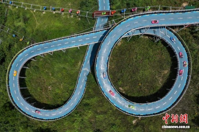 貴州黔西：羊駝小鎮暑期旅游熱